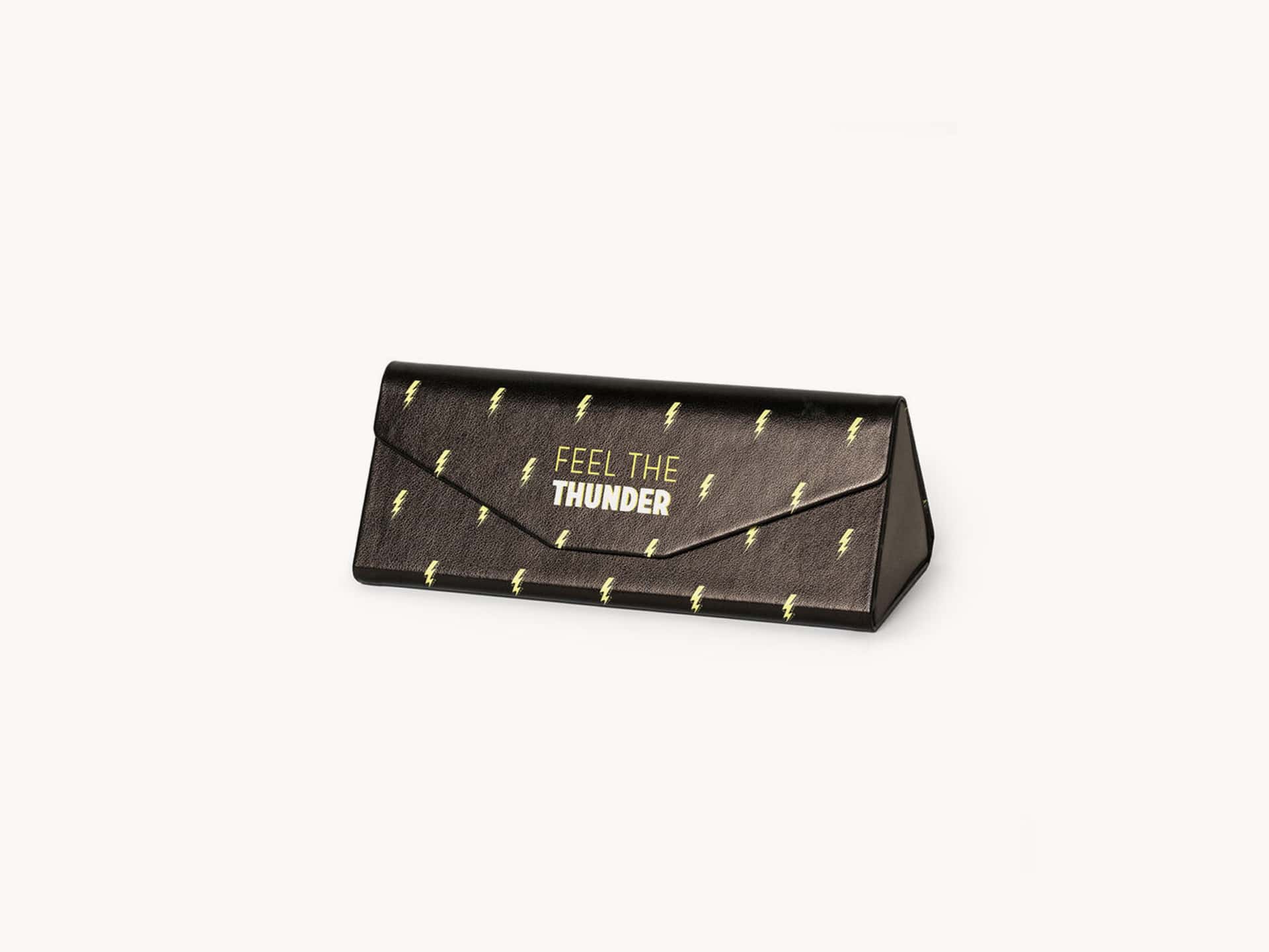 Glasses Case with Flash