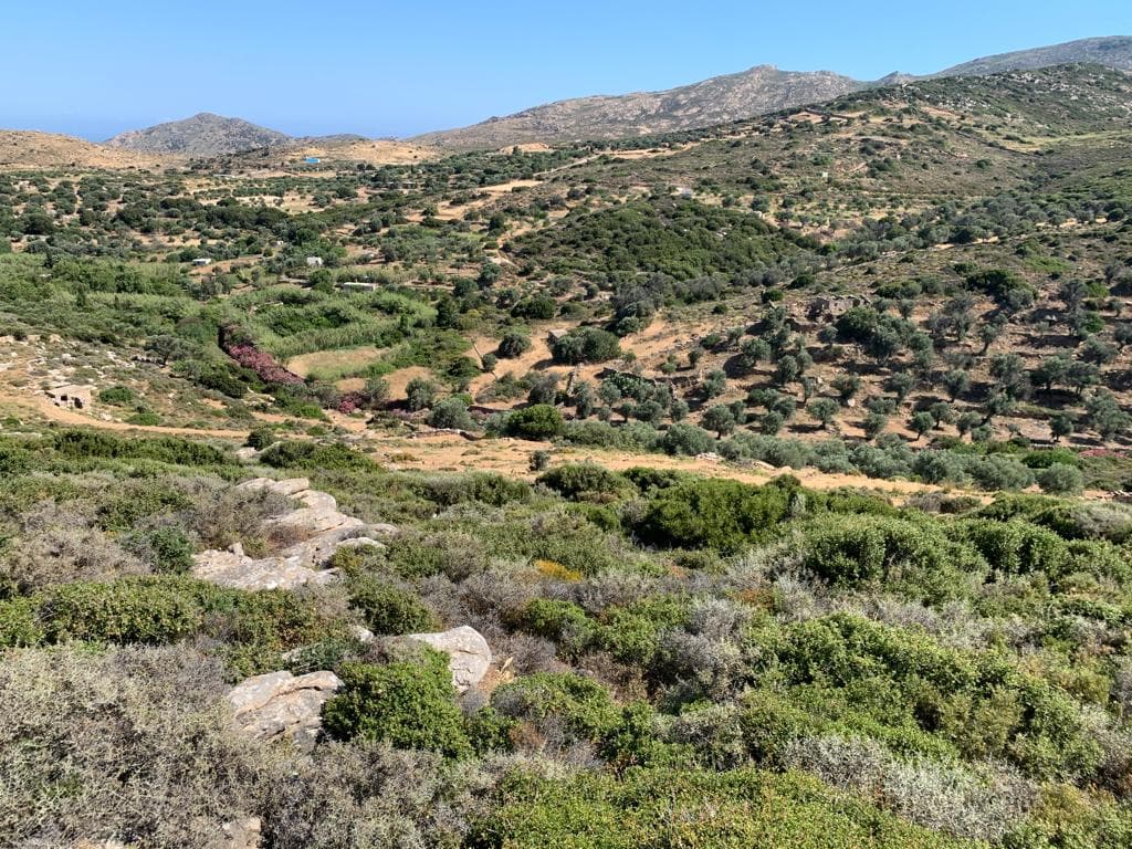 Goneos_Landscape Naxos_22-23