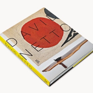 David Netto book