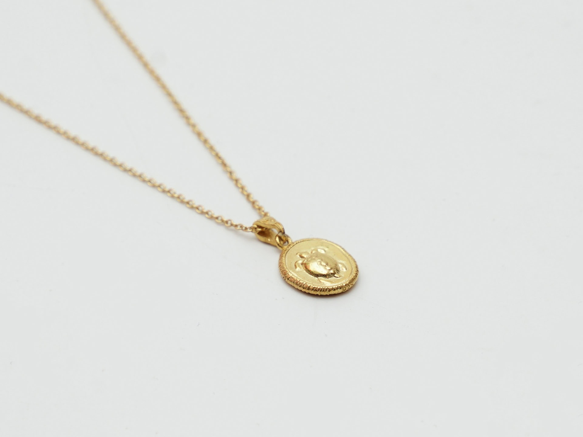 Necklace with Turtle