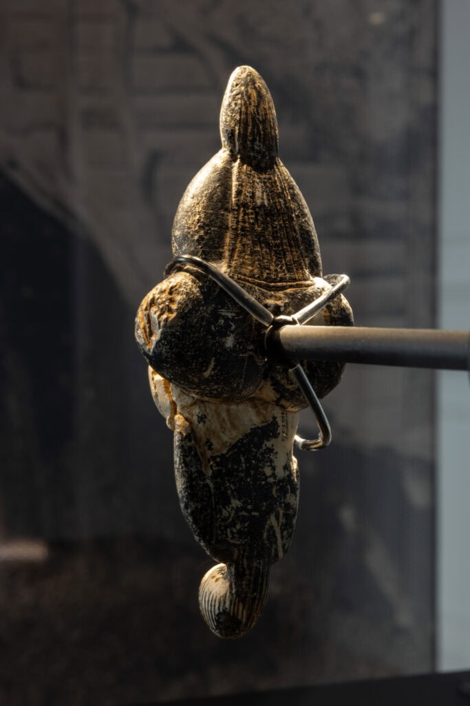 «Αφροδίτη του Lespugue» (οπίσθια όψη), 28.000 χρόνια πριν το παρόν