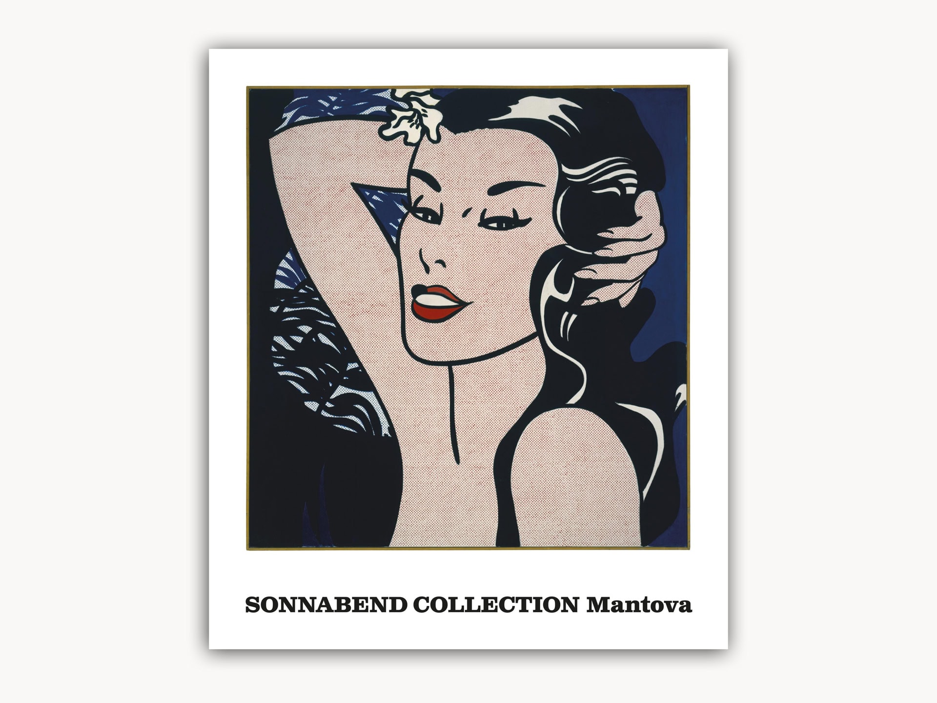 Sonnabend Collection Mantova 