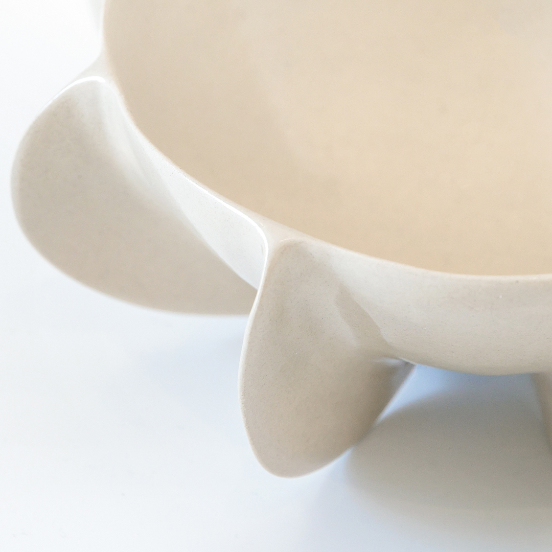 Ceramic Bowl 