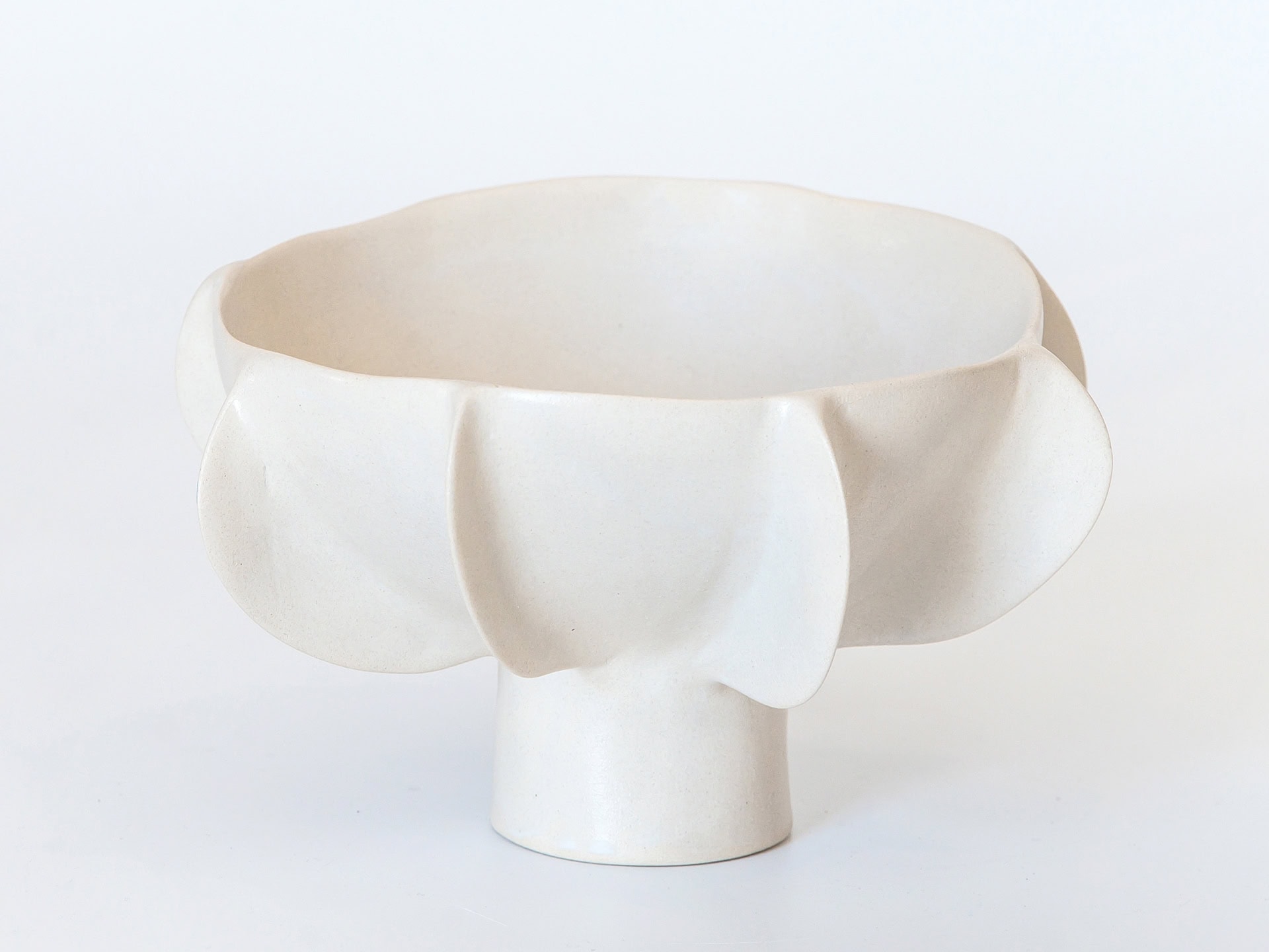 Ceramic Bowl 