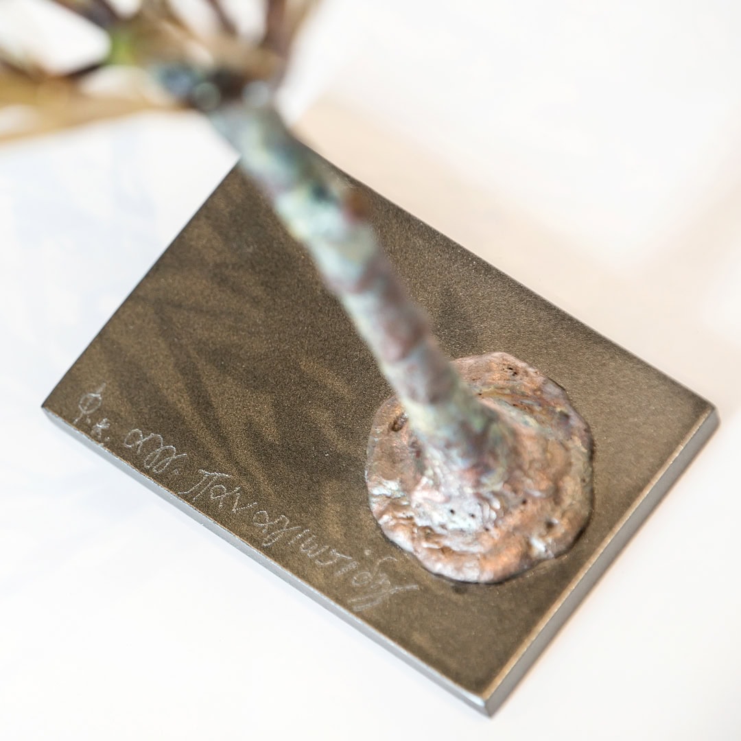 Olive Tree Windswept – Small