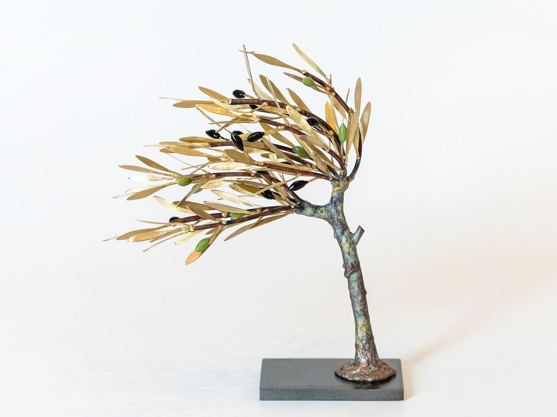 Olive Tree Windswept – Small